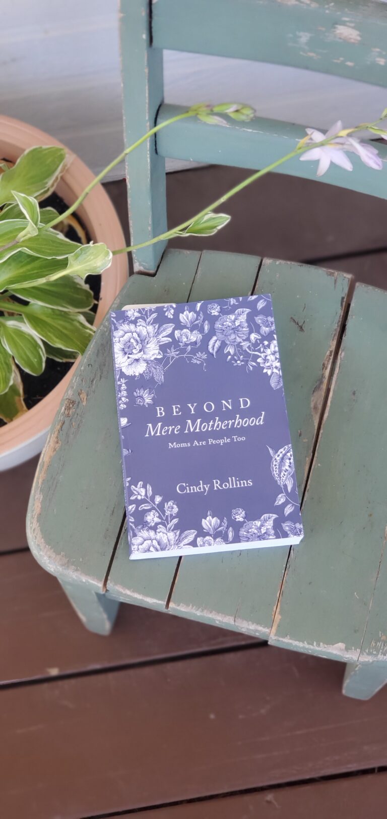 The book Beyond Mere Motherhood Moms are People Too by Cindy Rollins is placed on an old chair. Mother Culture Summer Reading List